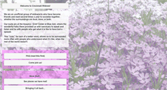 Desktop Screenshot of cincinnatiwidows.org
